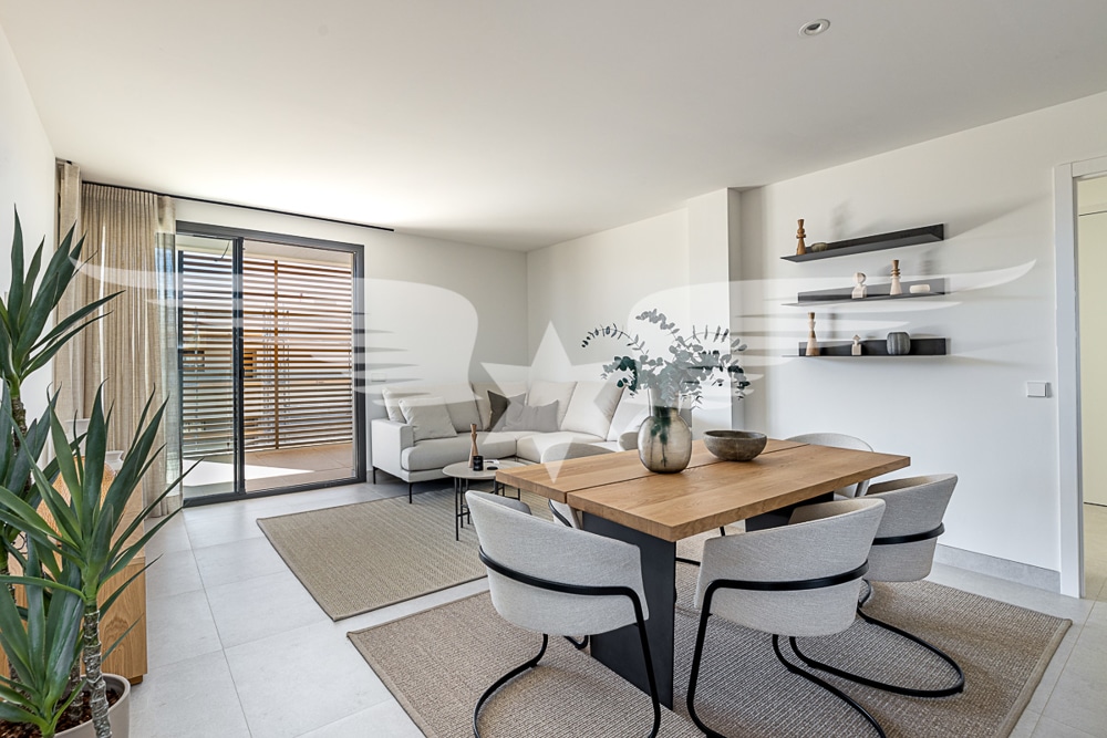 Living/Dining area