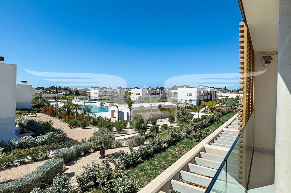 Vistas desde la terraza