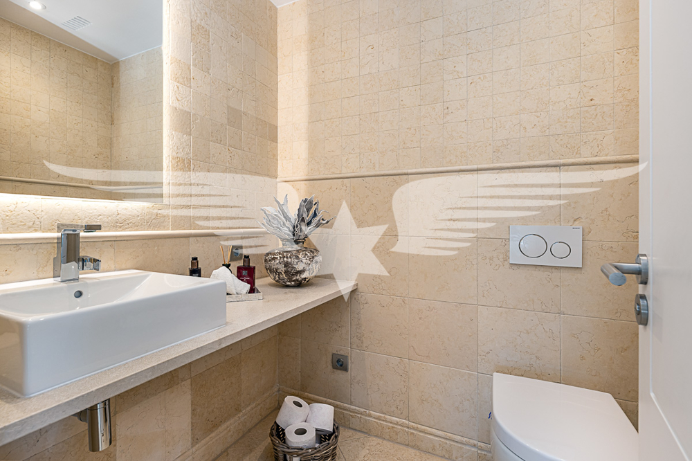 Guest toilet