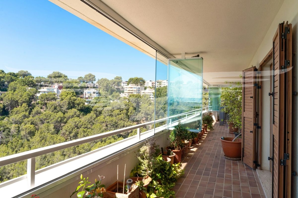 Terraza