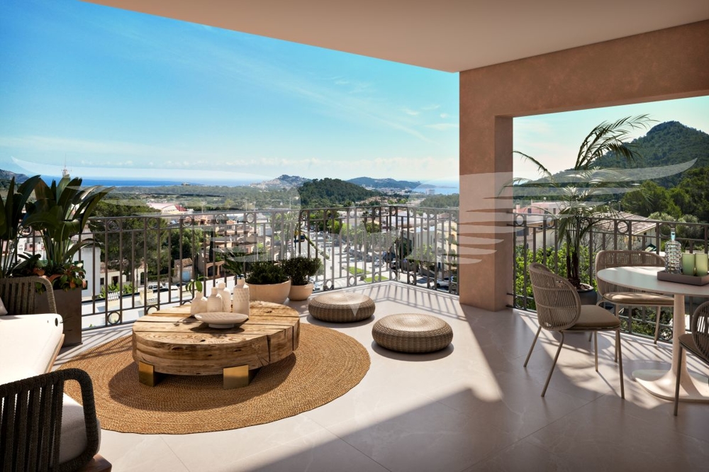 Terraza visualizada