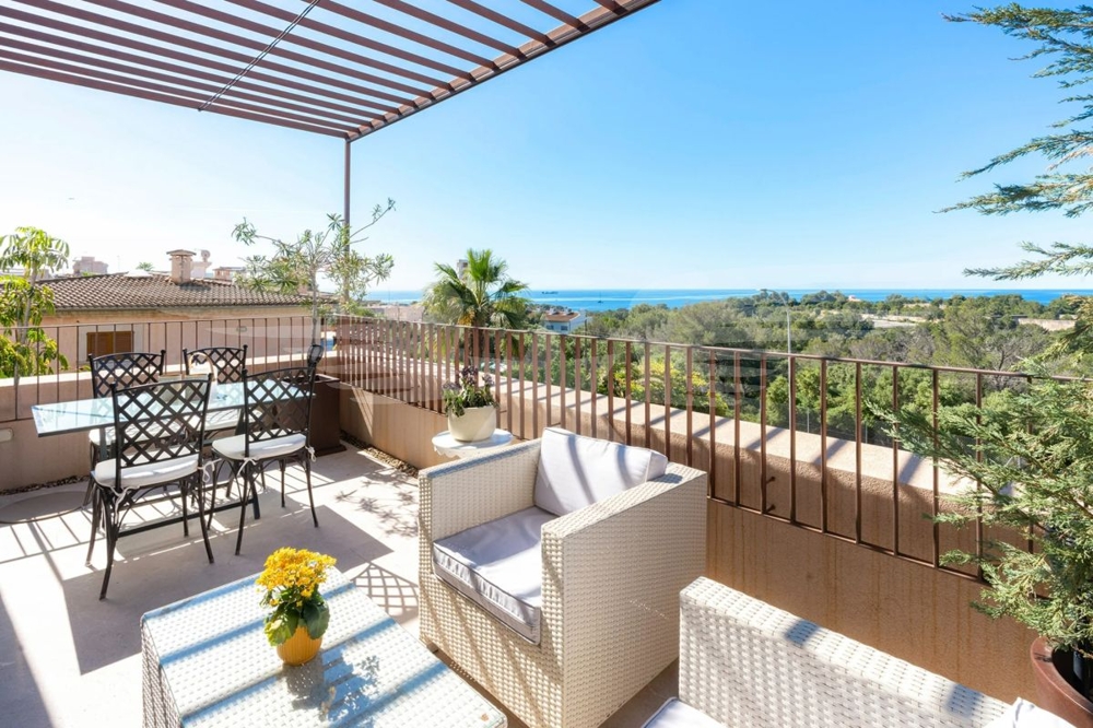 Terraza