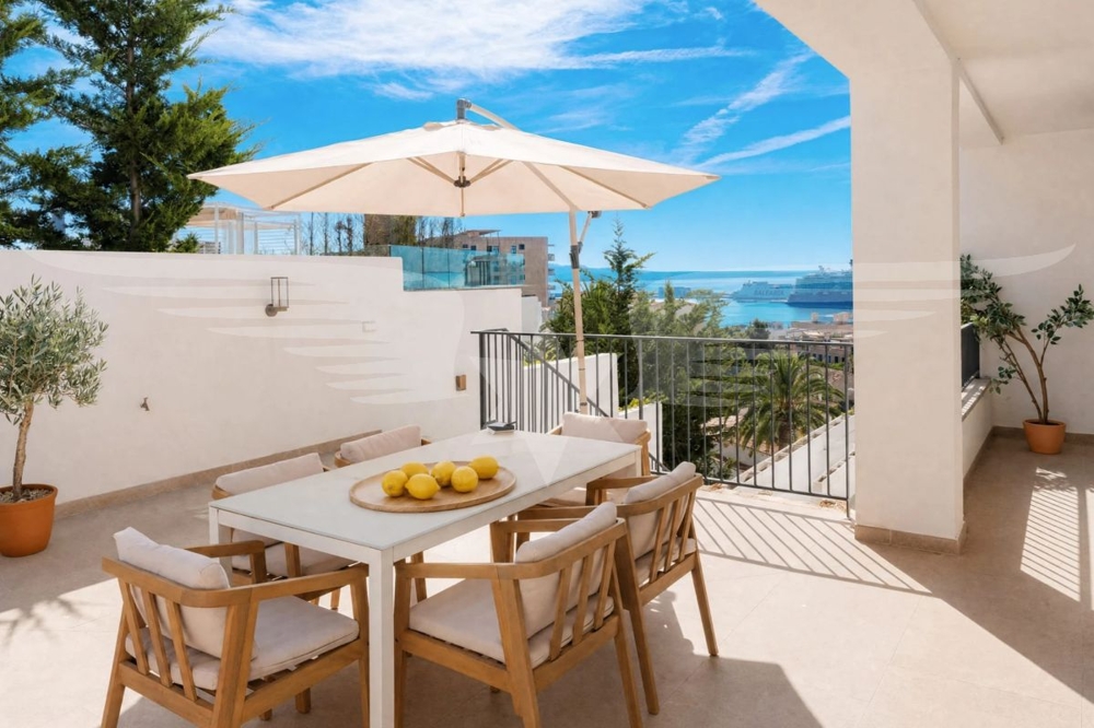 Terrasse 1