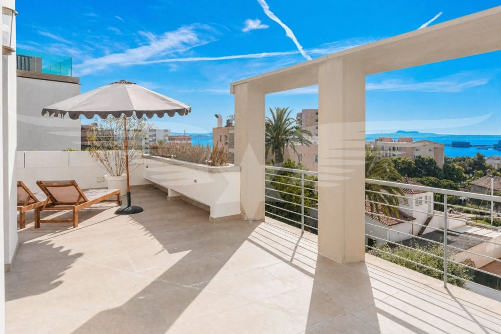 Terrace 2