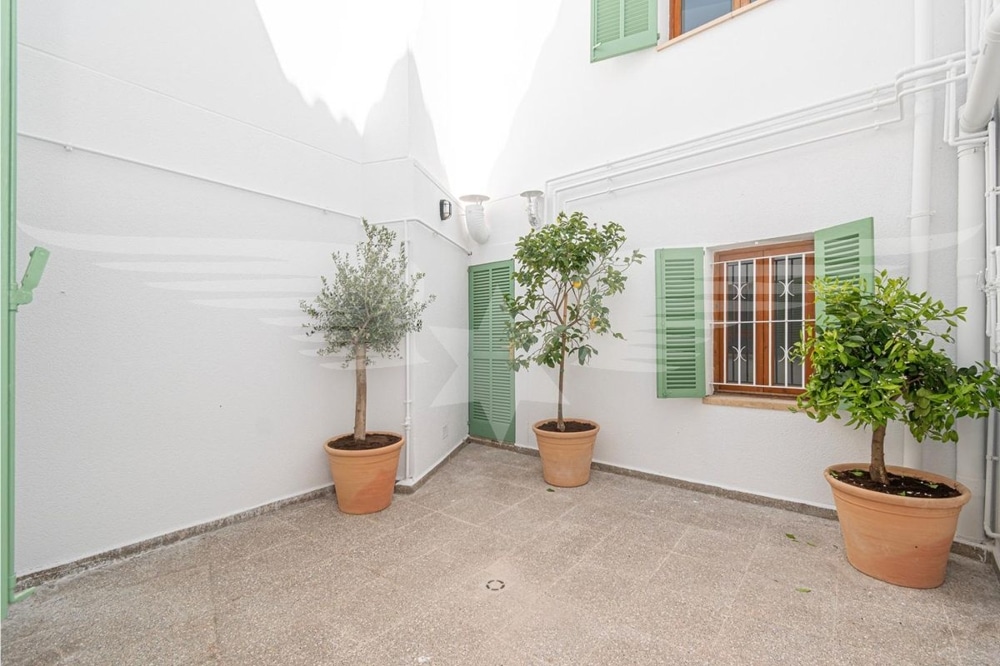 Terrace ground floor
