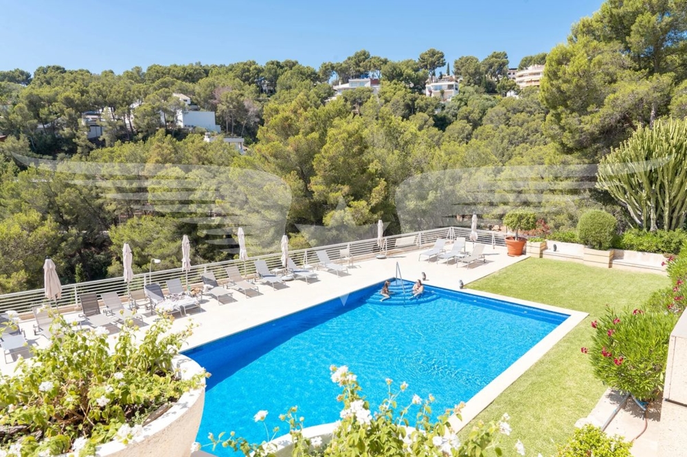 Piscina comunitaria