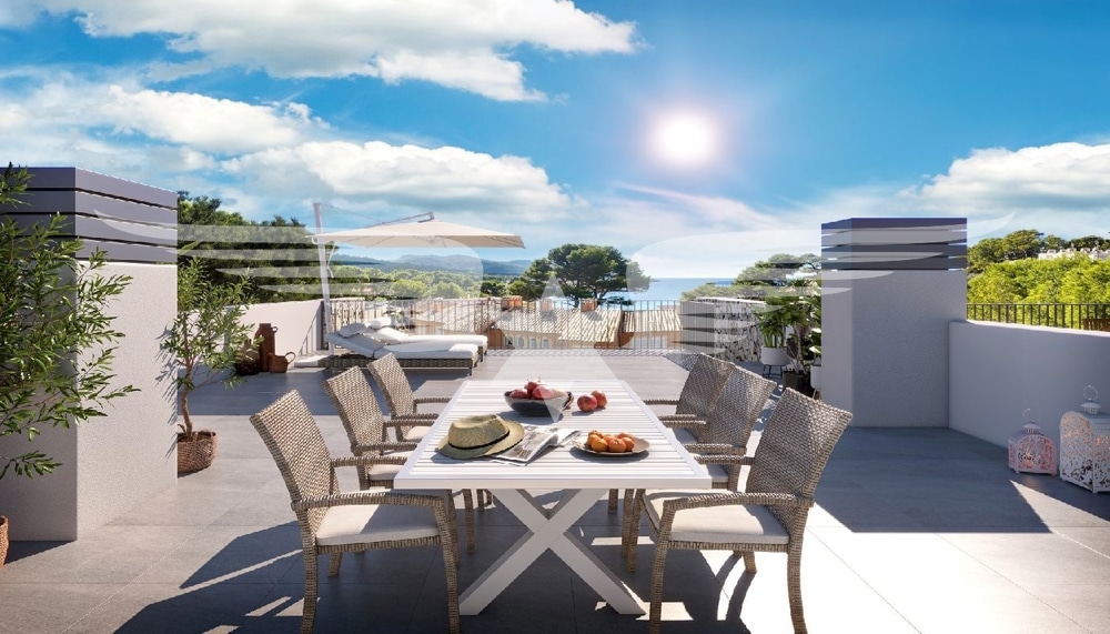 Roof terrace Penthouse