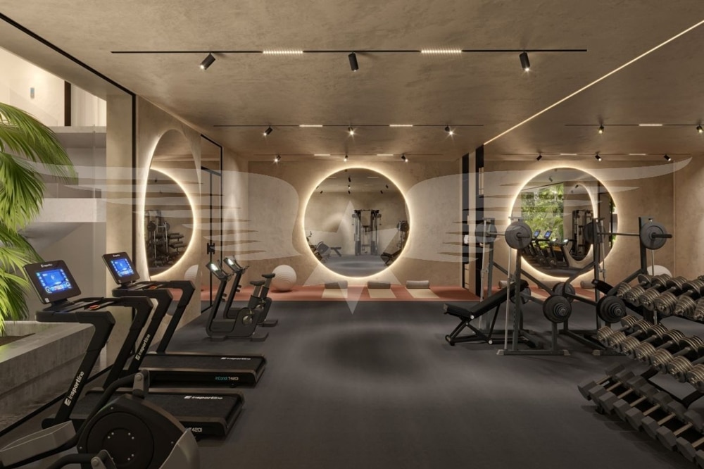 GYM visualizado