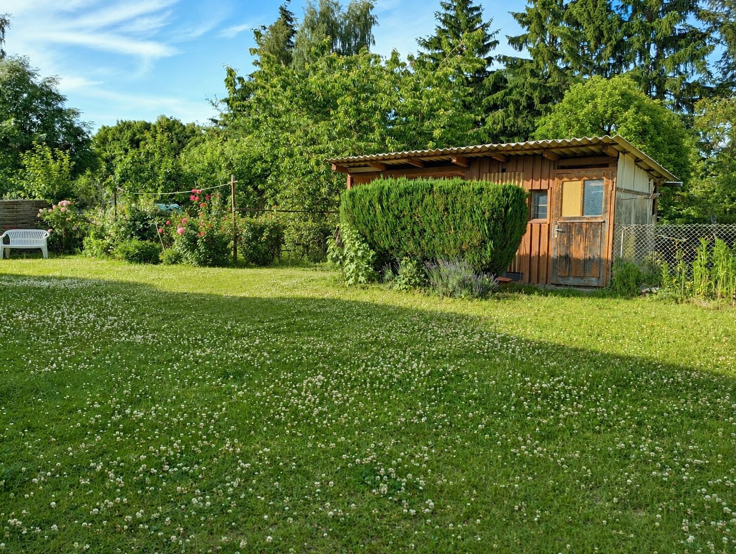 Bild 4