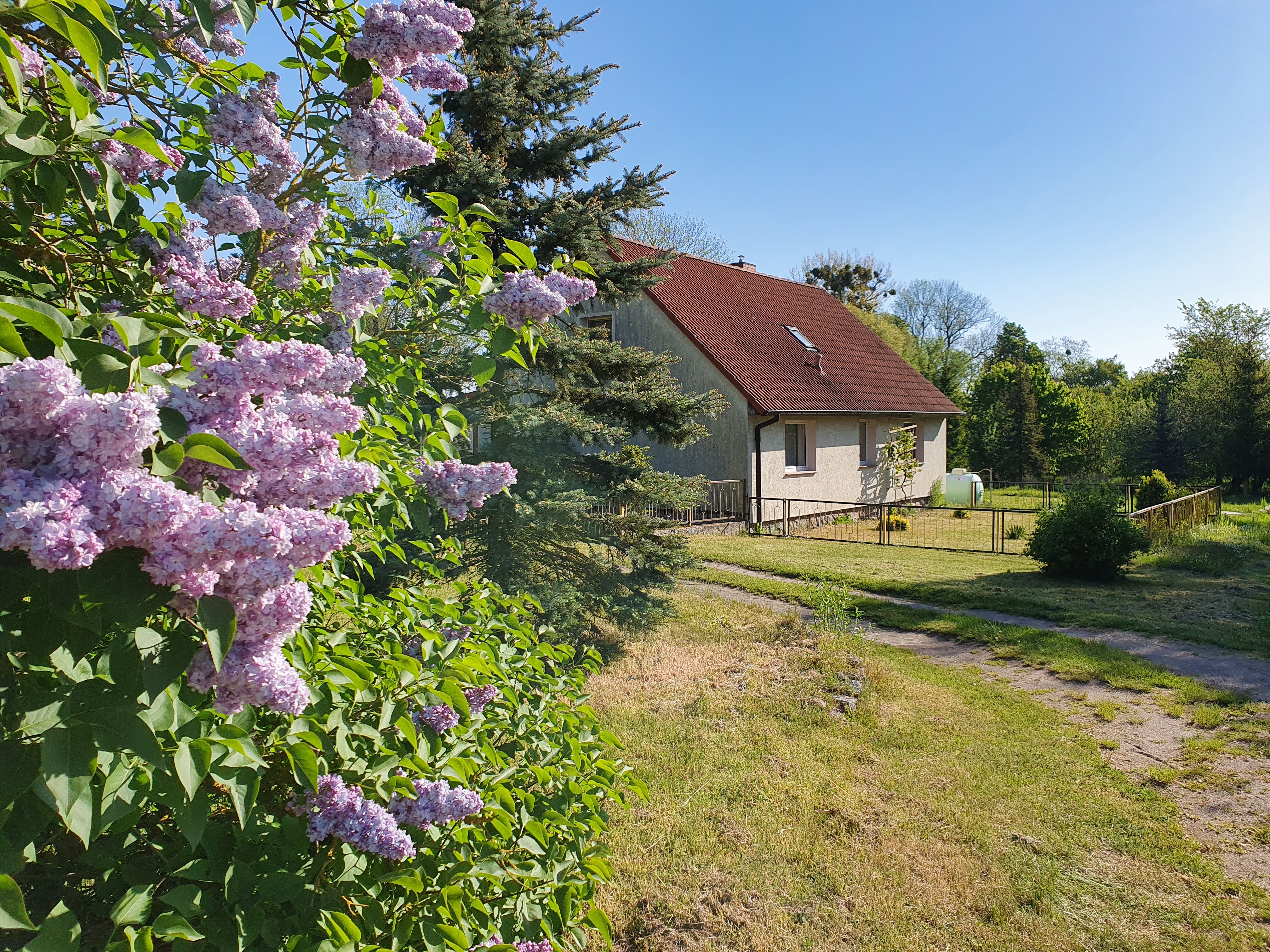 Natur pur – Einfamilienhaus mit großem Grundstück und Seenähe
