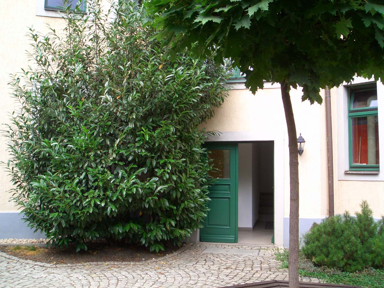 Schöne Altbauwohnung sucht tolle Mieter – 5 min bis zur Elbe - Foto 3
