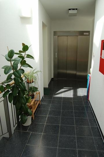 Herrlicher Blick in die Weinberge – Aufzug, Tiefgarage und Balkon! - Photo 3