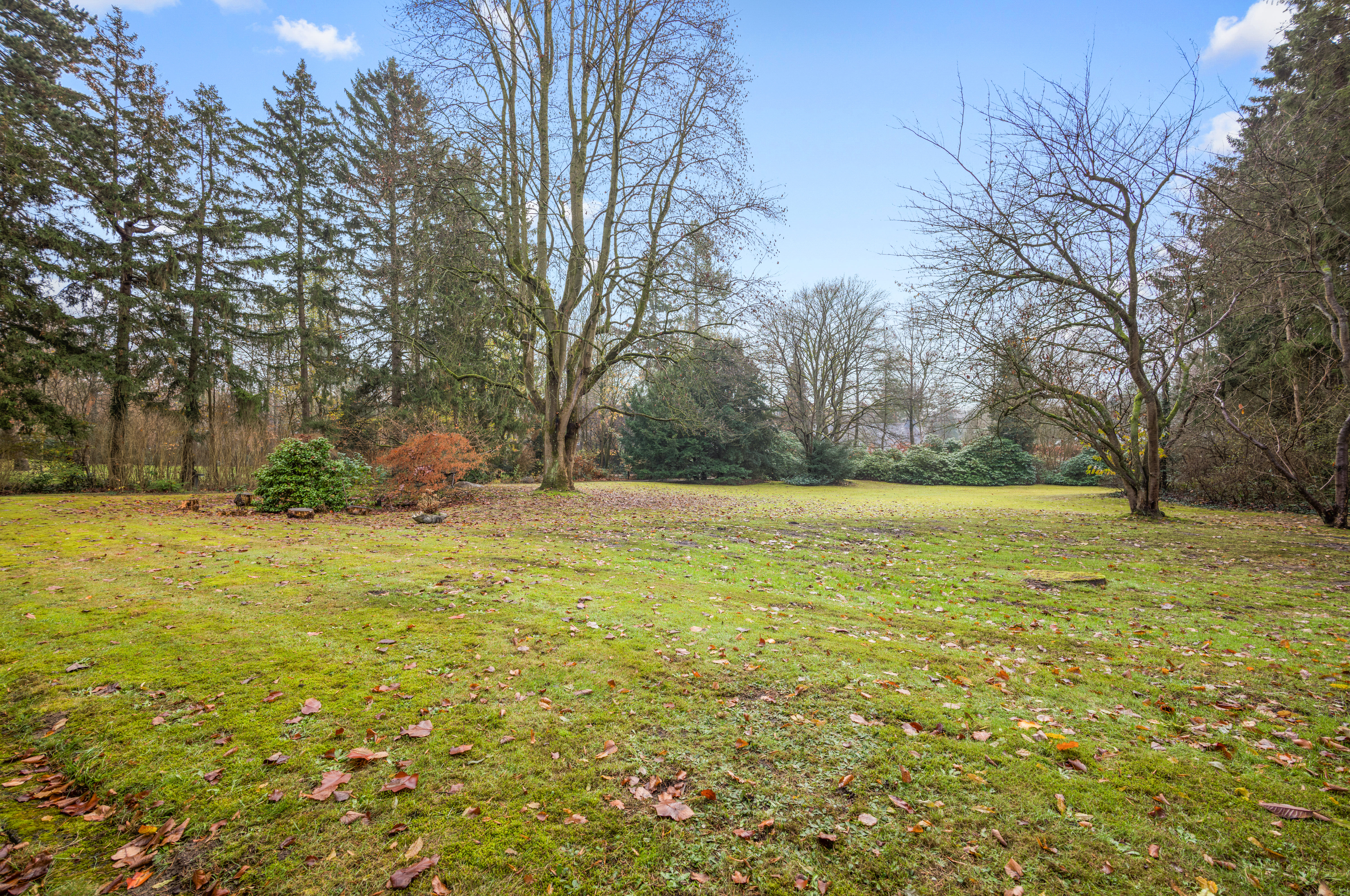 Großzügiges Grundstück mit viel Potenzial direkt am Alsterlauf