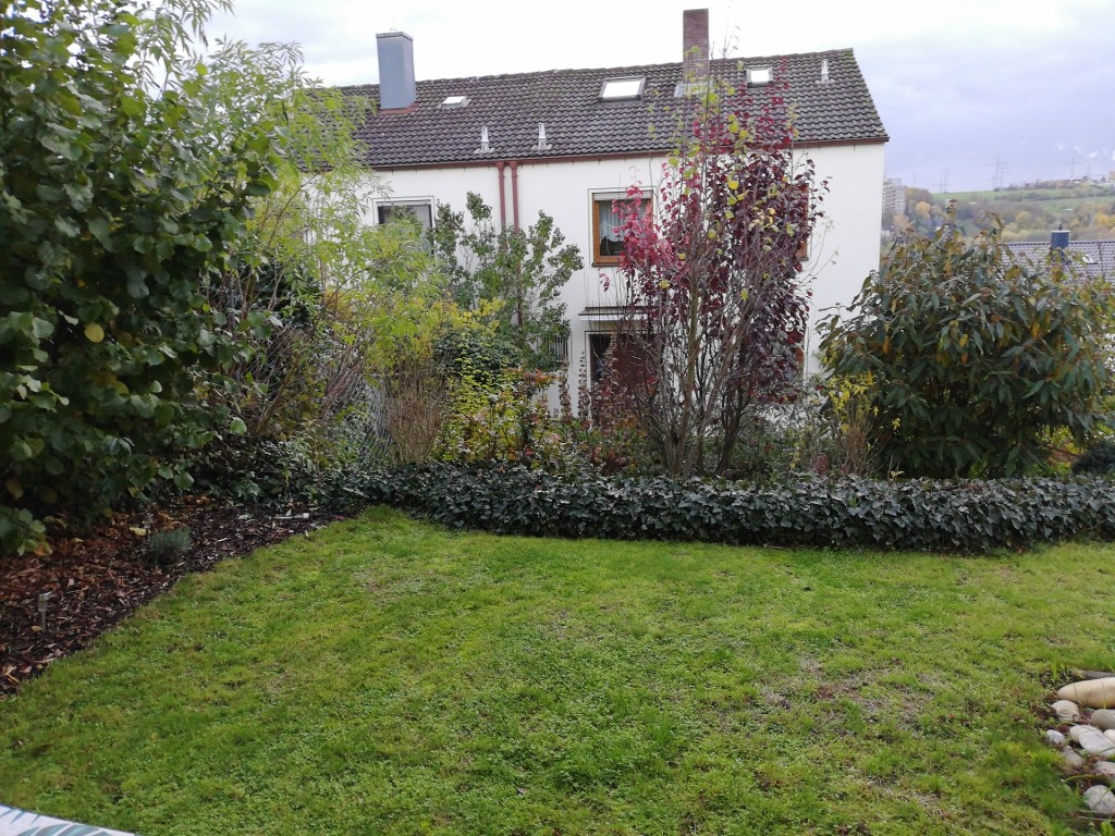 Attraktive 1 Zimmer Wohnung mit Terrasse & Garten - Foto 1