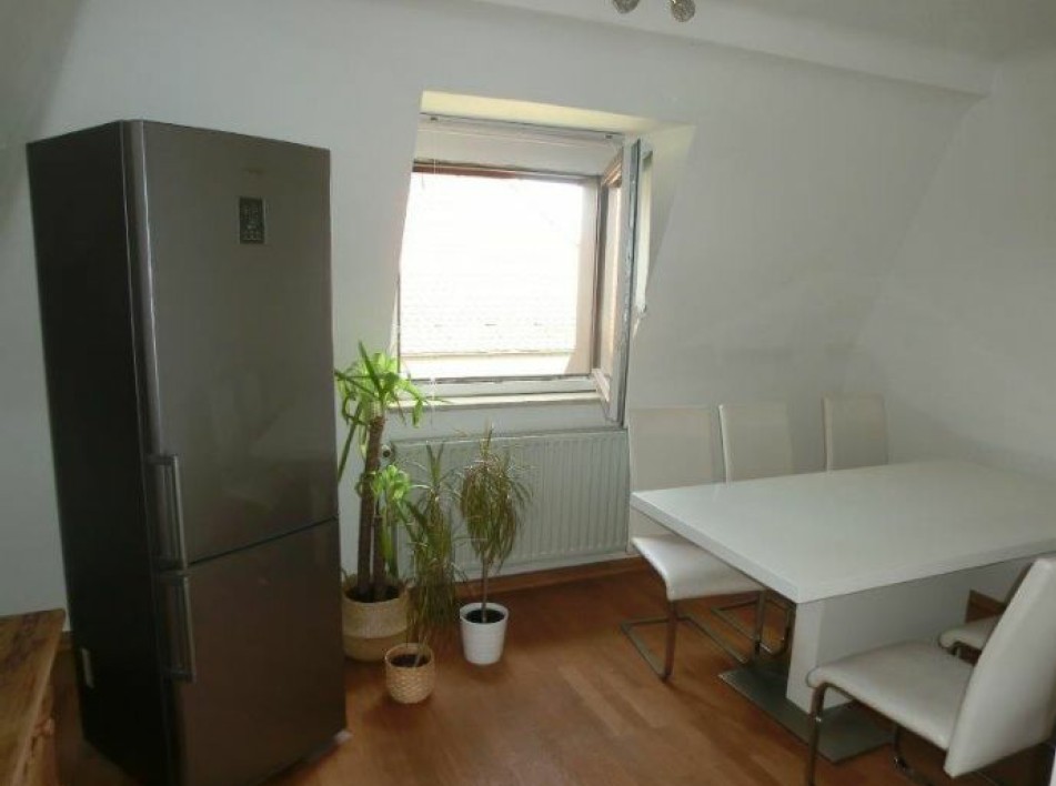 Attraktive 1,5 Zimmer Dach-Wohnung **direkte nähe zur Uni Klinik** - Foto 3