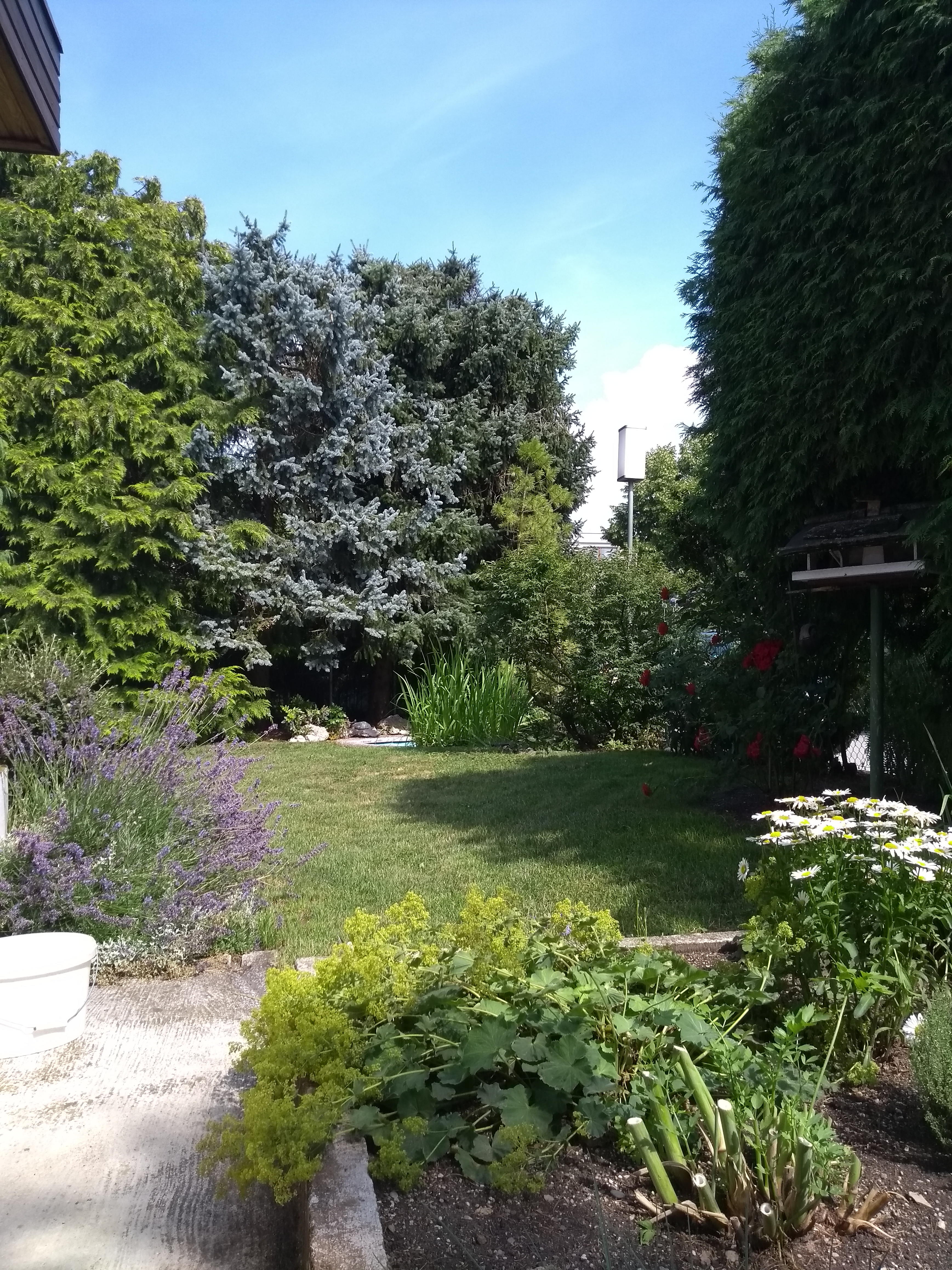 %Immobilienmakler - %Augsburg