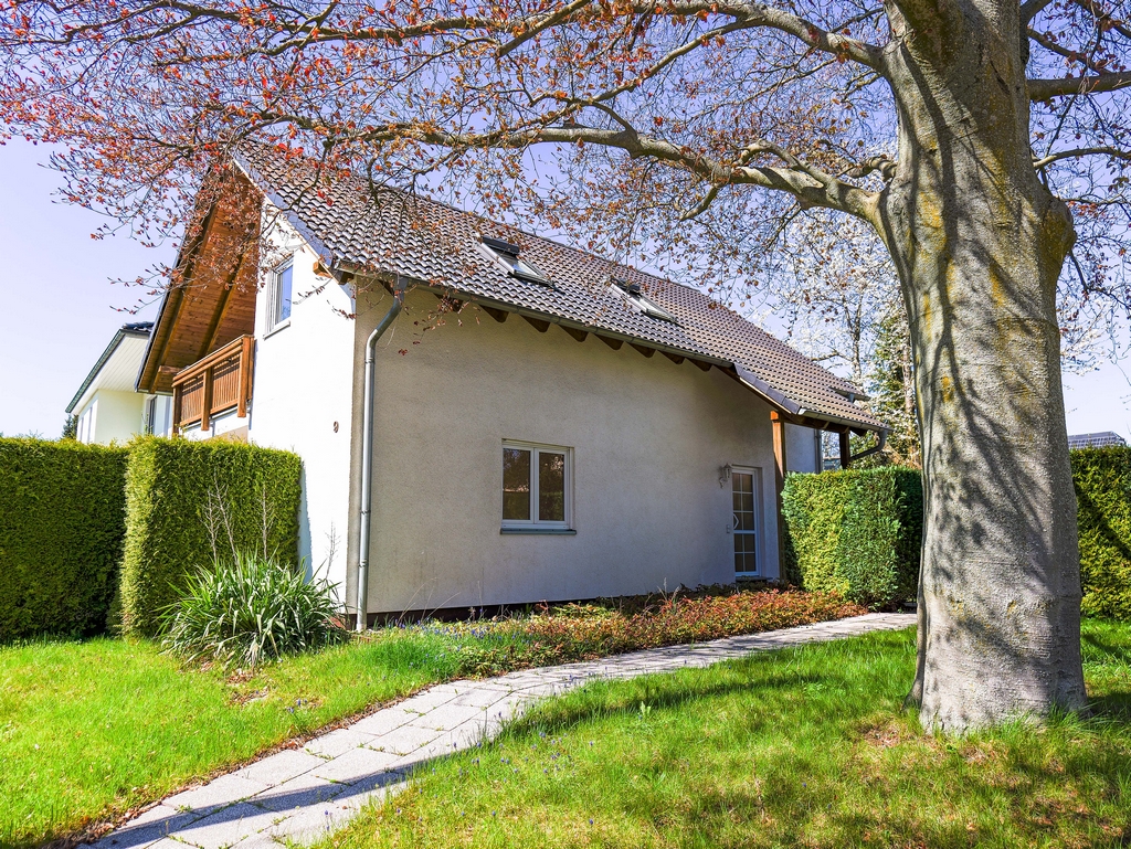 Gepflegtes Eigenheim mit bezaubernder Rotbuche