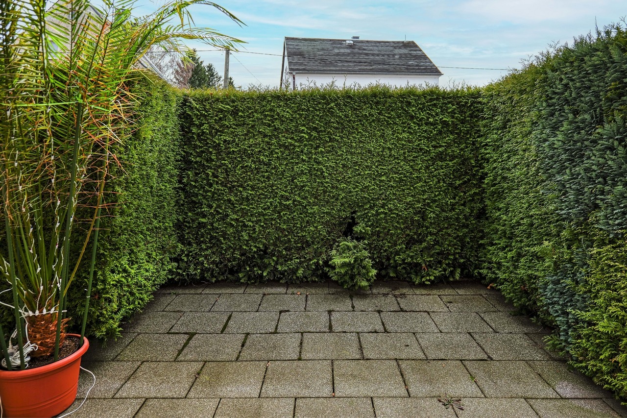 Südterrasse - ein schöner Ausblick ist nach Entfernen der Hecke möglich