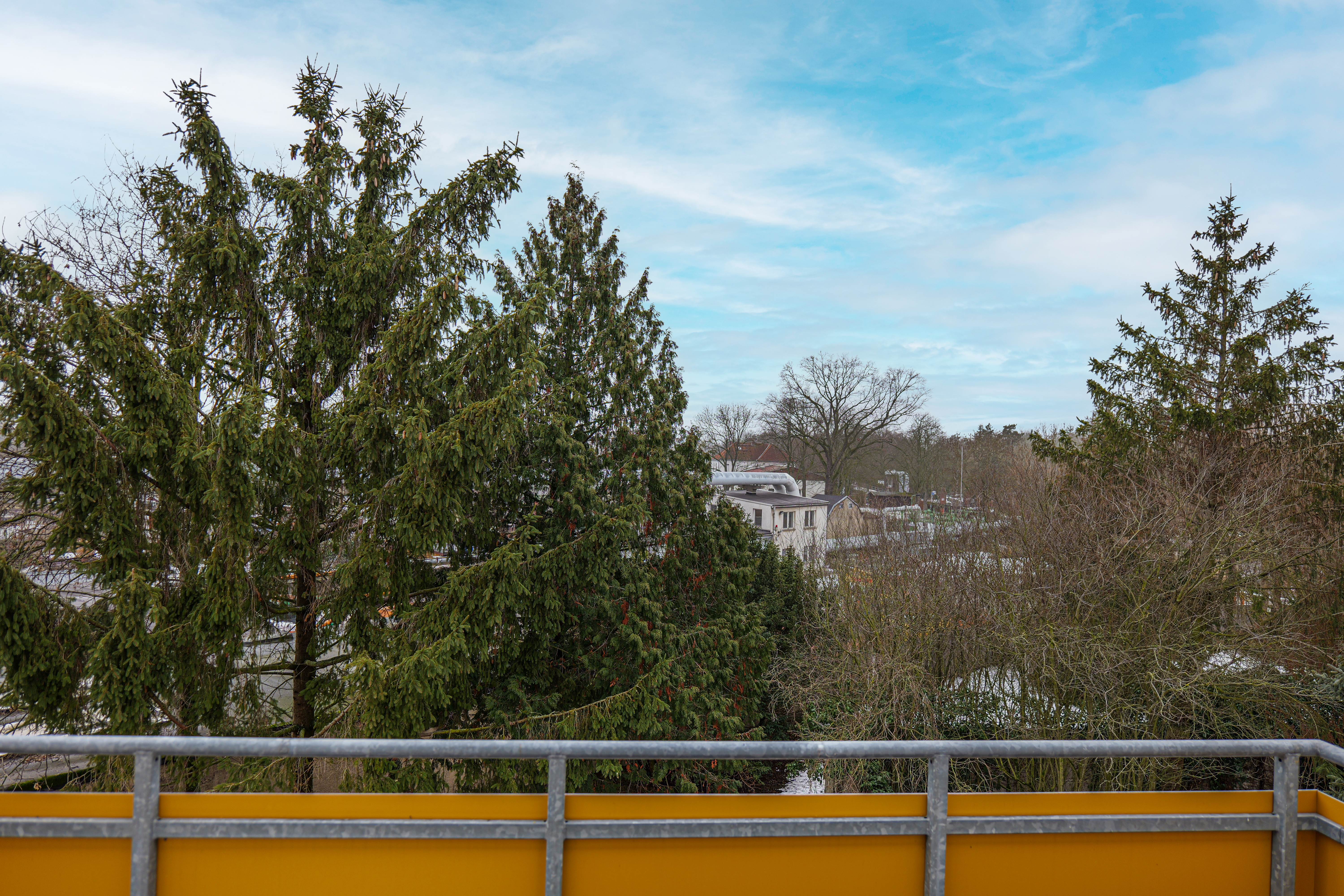 P1046084.JPG