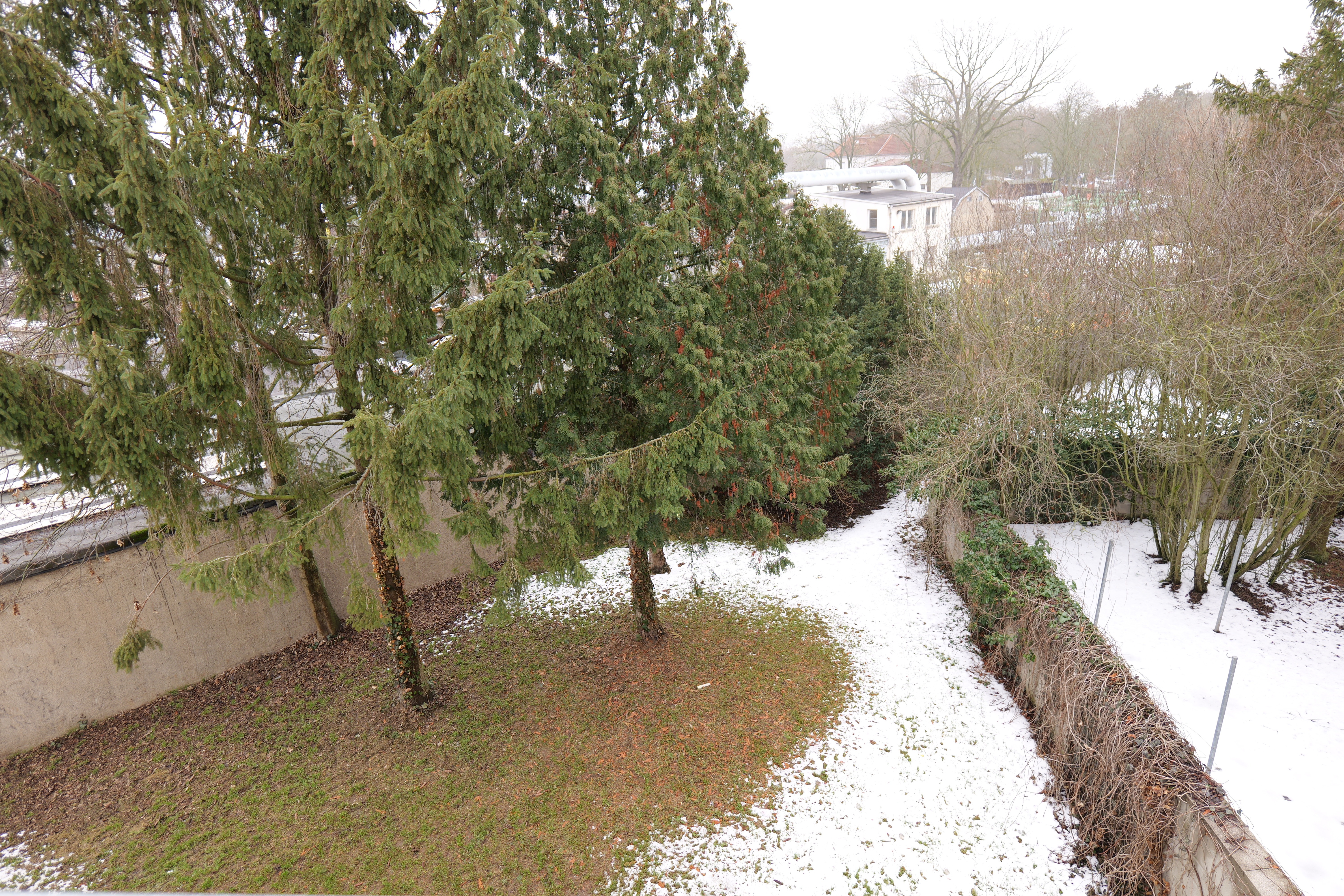 Blick in den Garten