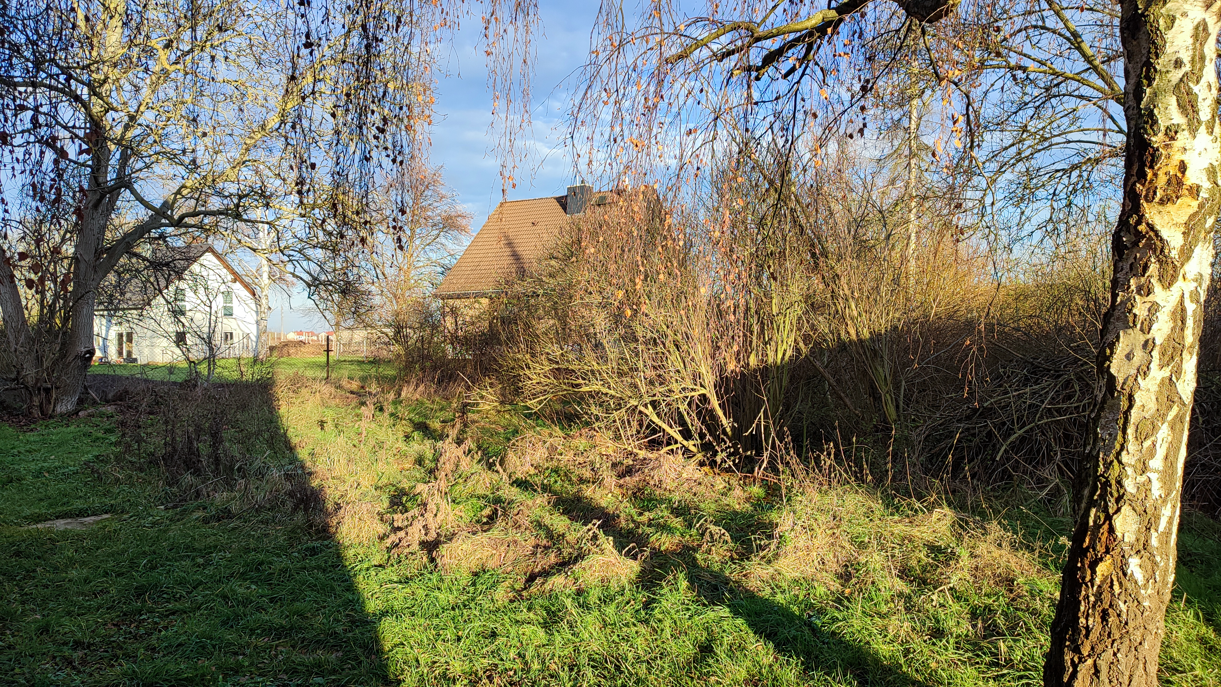 Großer Garten wartet auf Gestaltung