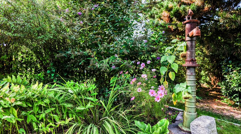 Außenanlagen Garten 4