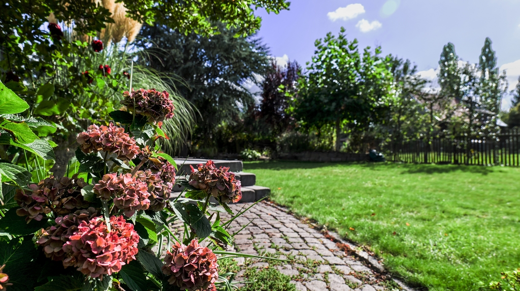 Außenanlagen Garten hübsche Pflanzen