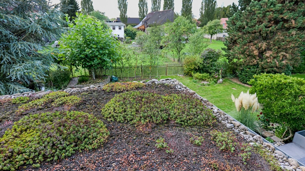 1. OG Wohnzimmer Ausblick