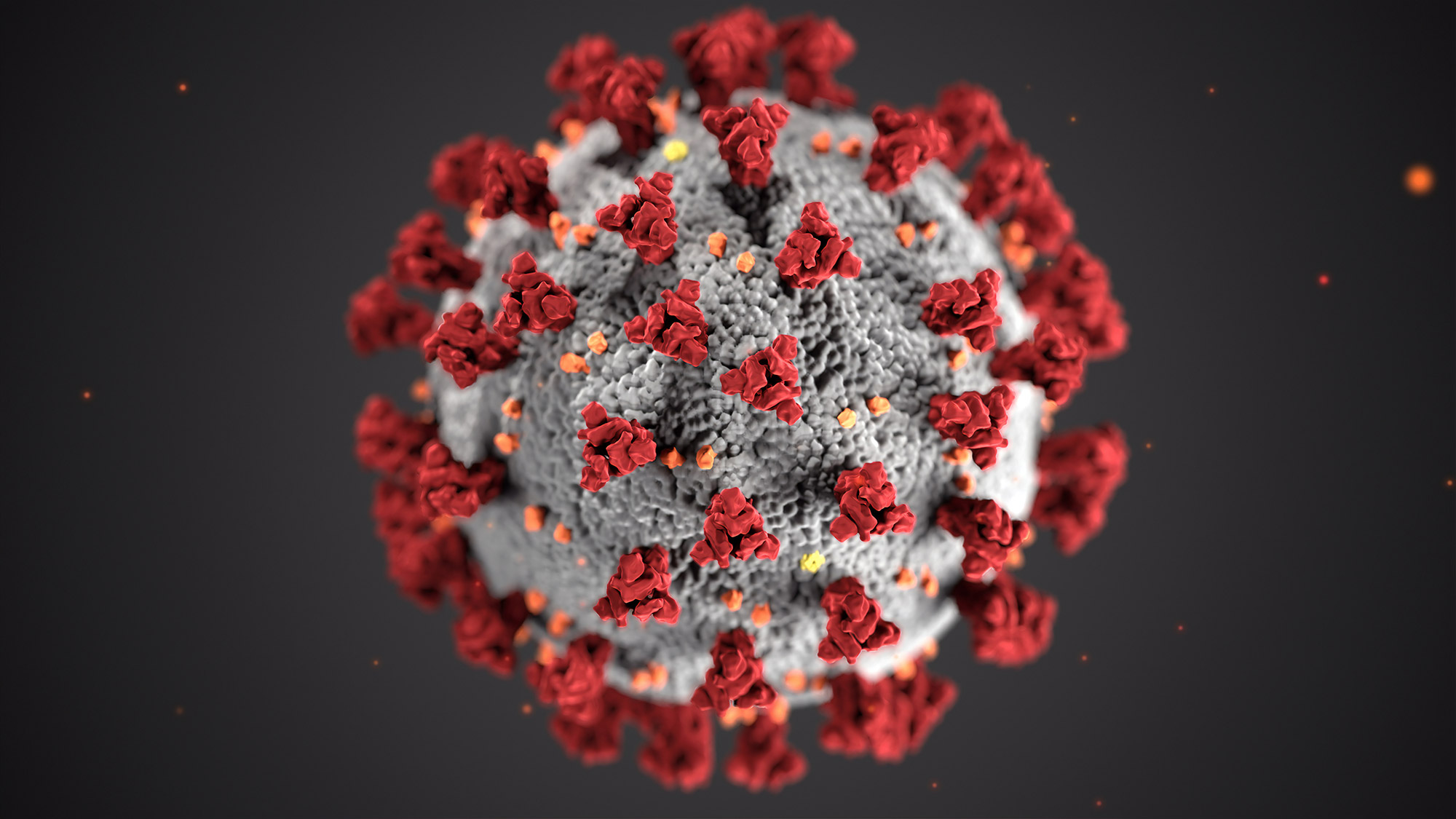 Wichtige Infos zum Corona Virus