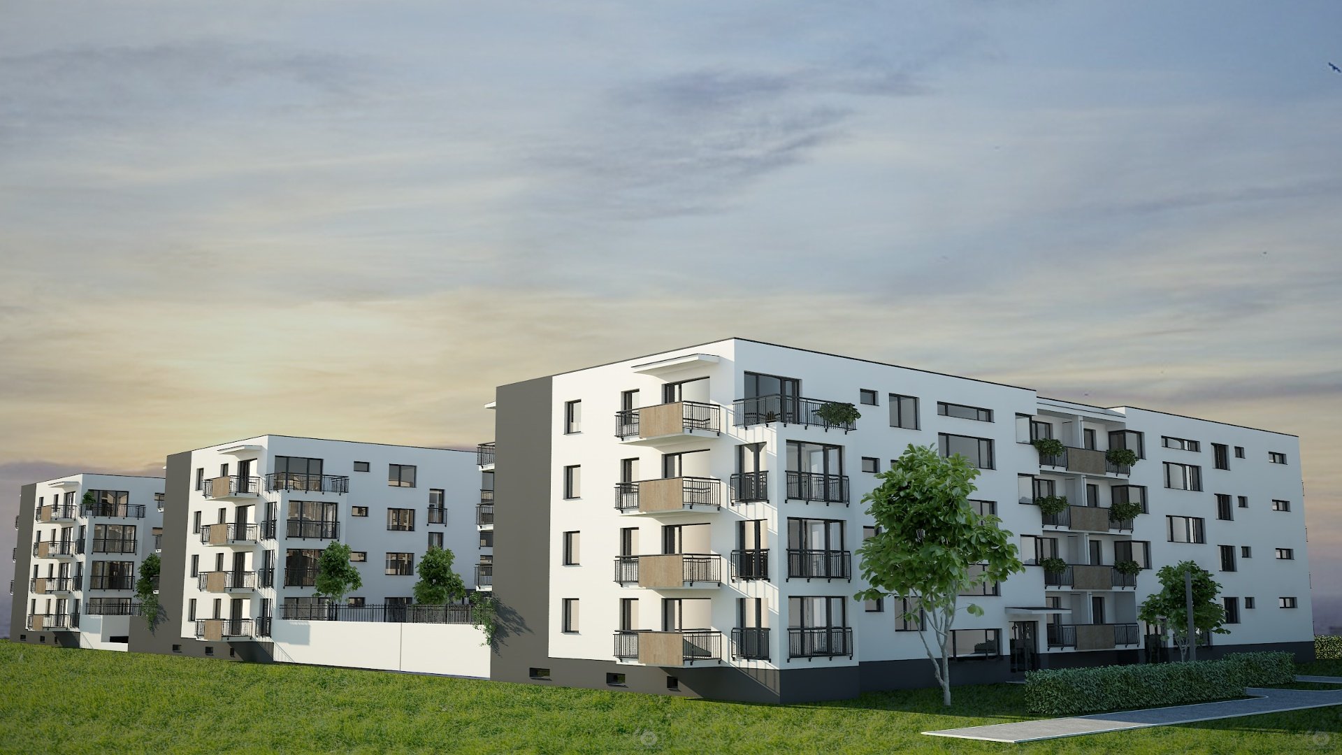 EXTER 051