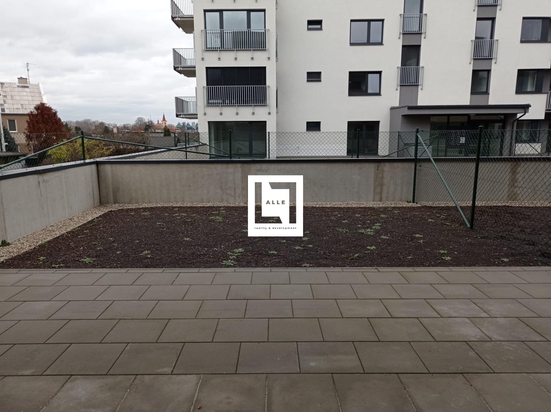 WhatsApp Image 2022-11-22 at 13.16.22 (1)