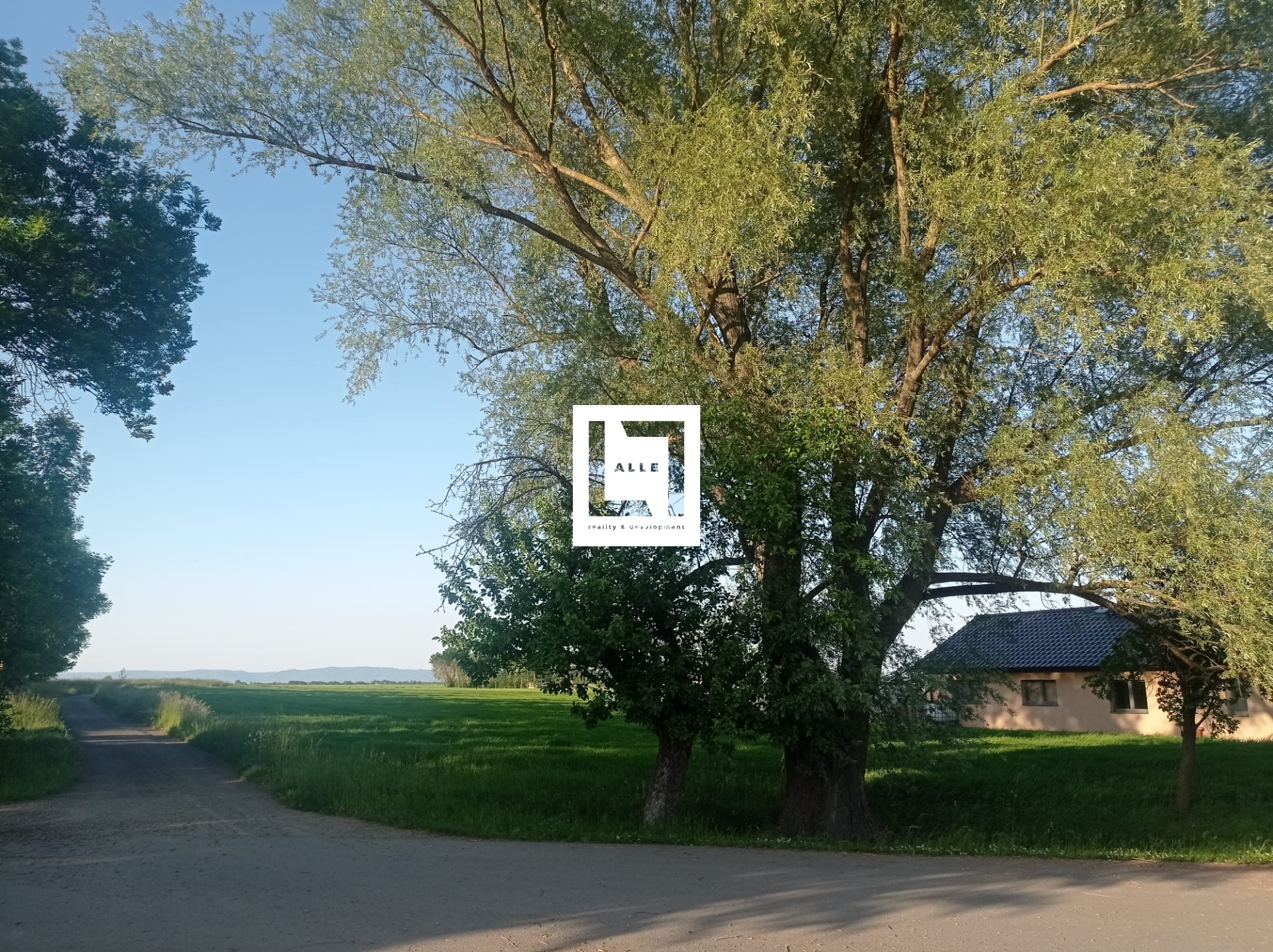 WhatsApp Image 2023-06-01 at 13.54.46