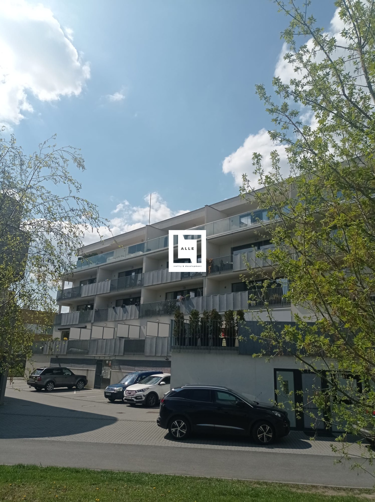 WhatsApp Image 2023-05-02 at 09.30.31 (3)