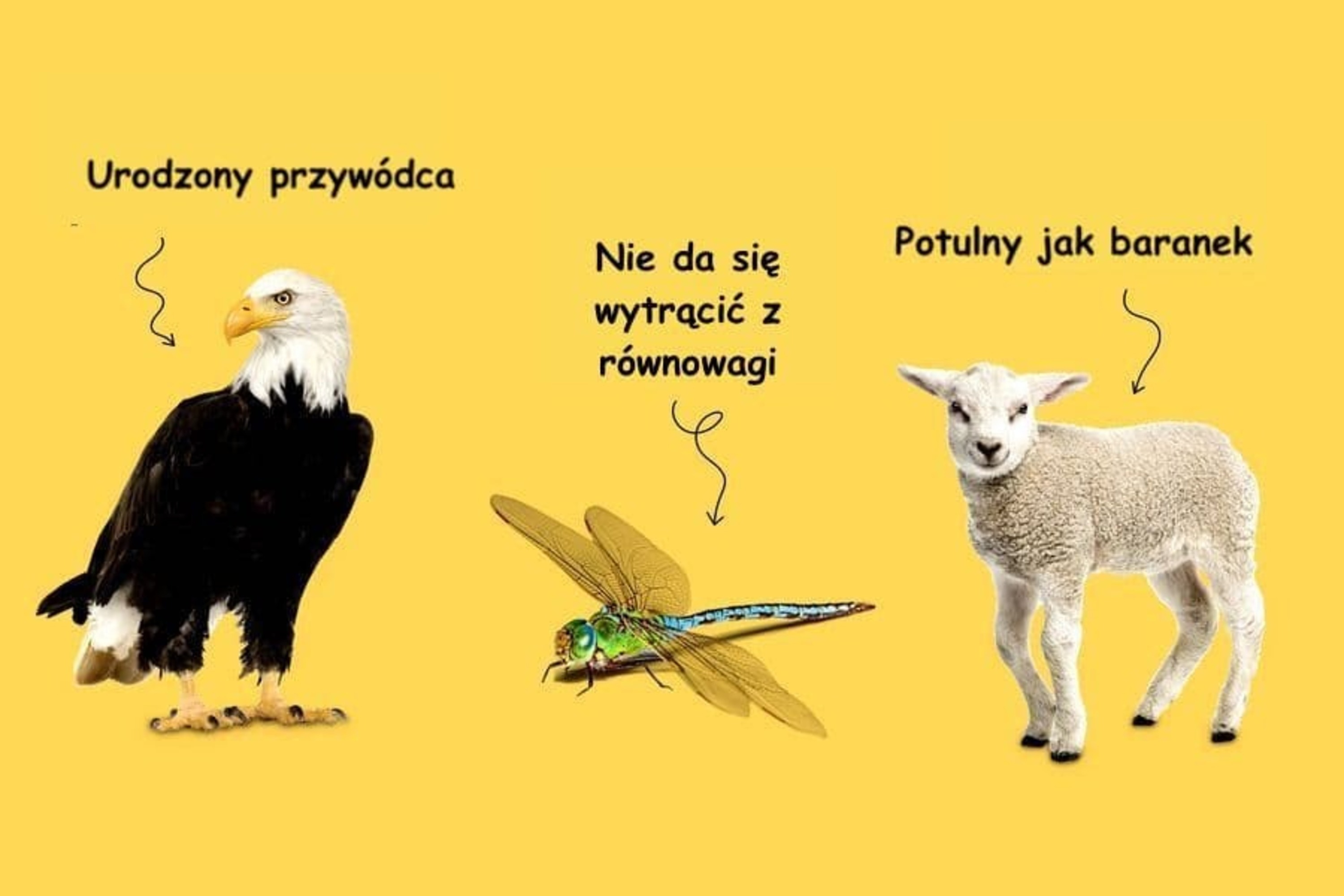 HRoskop