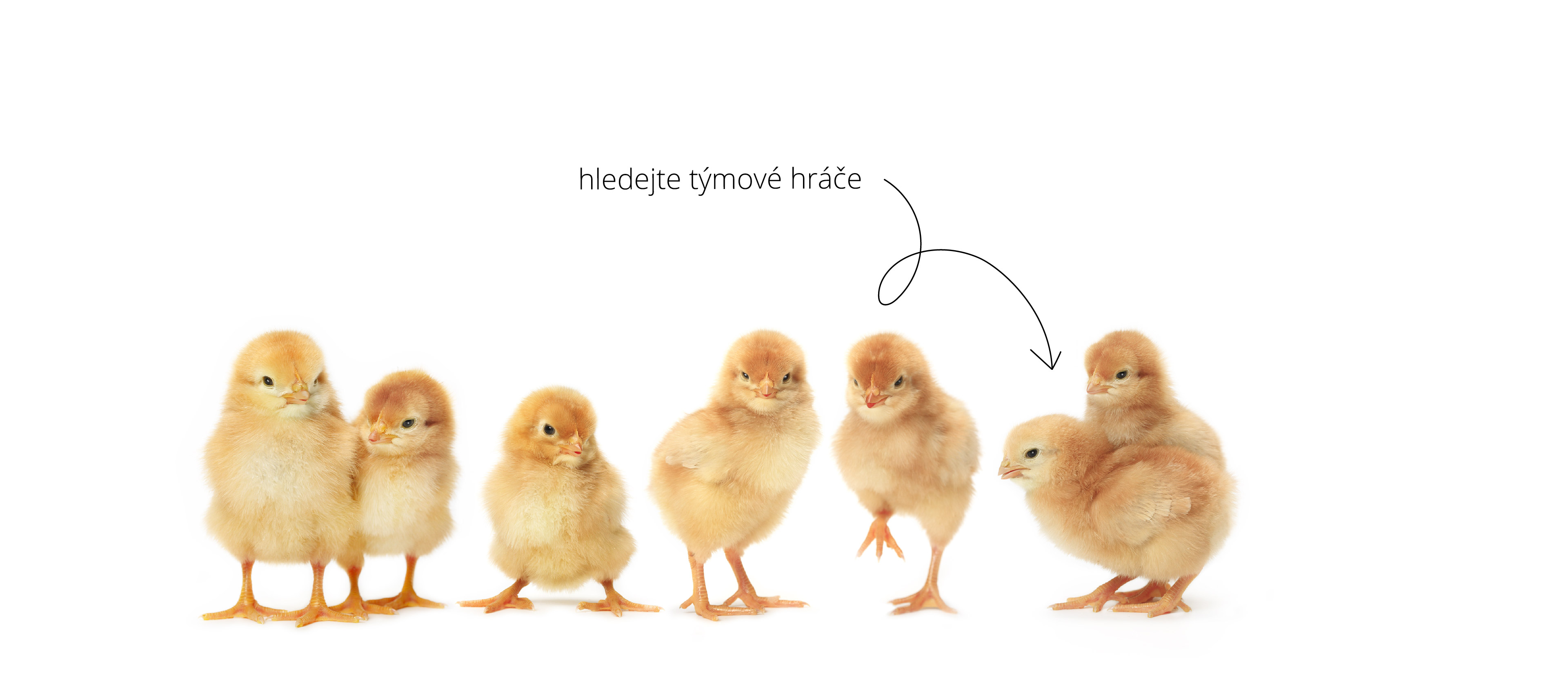 Týmový hráč Týmový hráč