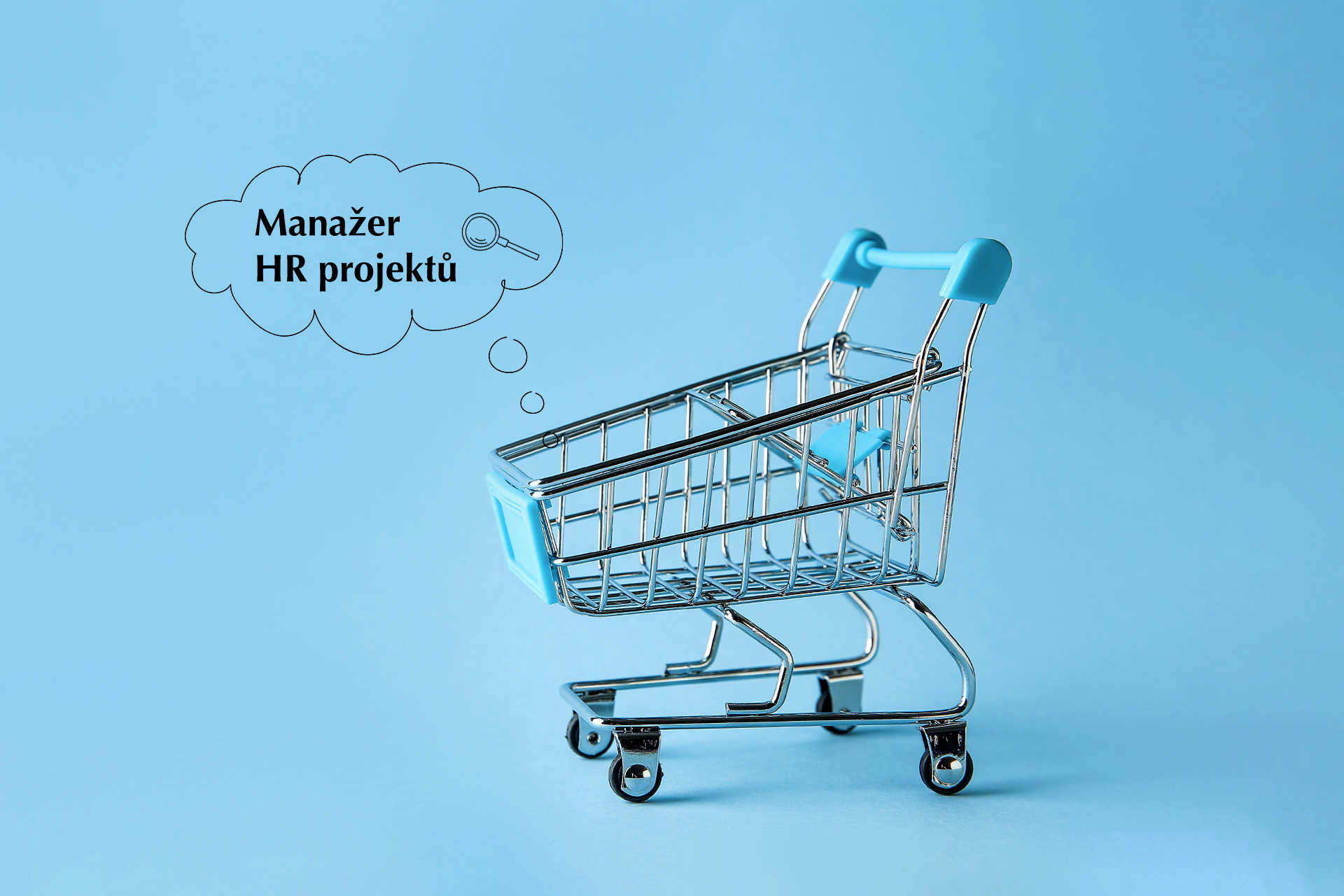 Inzerát jako produkt na e-shopu Inzerát jako produkt na e-shopu