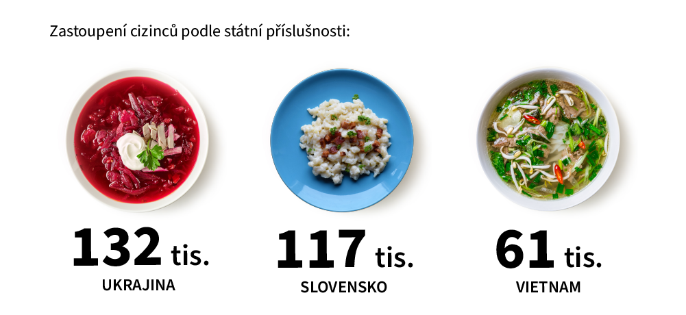 Zastoupení cizinců podle příslušnosti Zastoupení cizinců podle příslušnosti