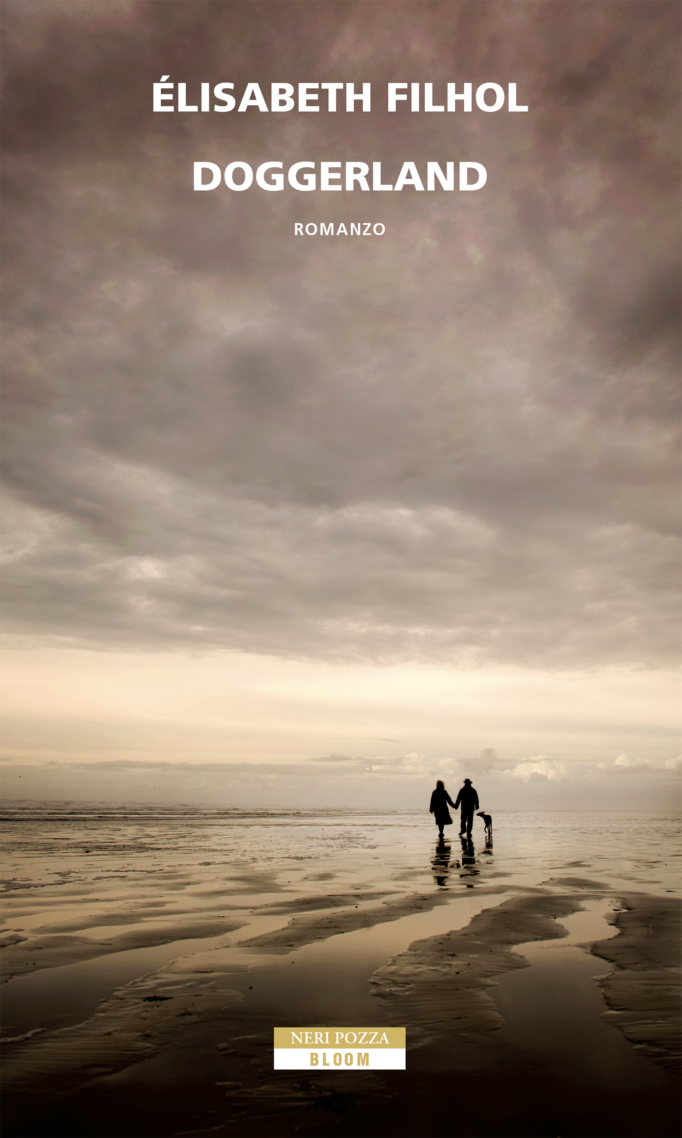 Risultato immagini per filhol doggerland IMMAGINI