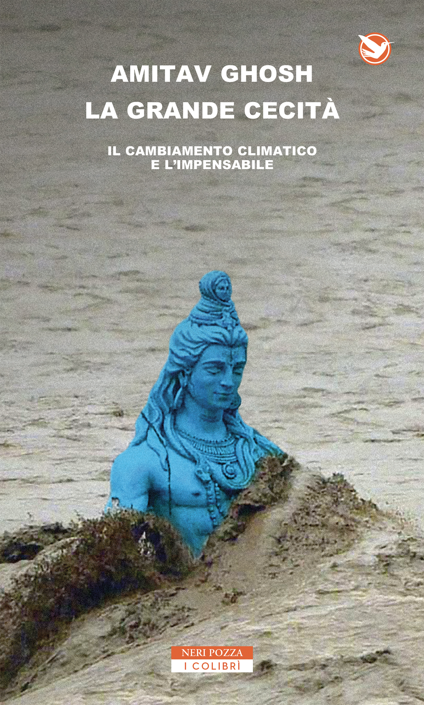 Risultato immagini per amitav ghosh la grande cecità"