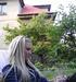 Šardule