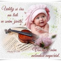 Uživatel (#337237)