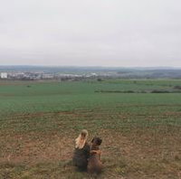 Uživatel (#336108)