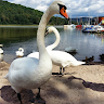 Uživatel (#338503)