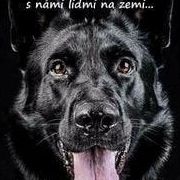 Uživatel (#333200)