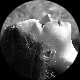 sushi_ocasky