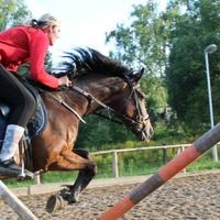 Uživatel (#337588)