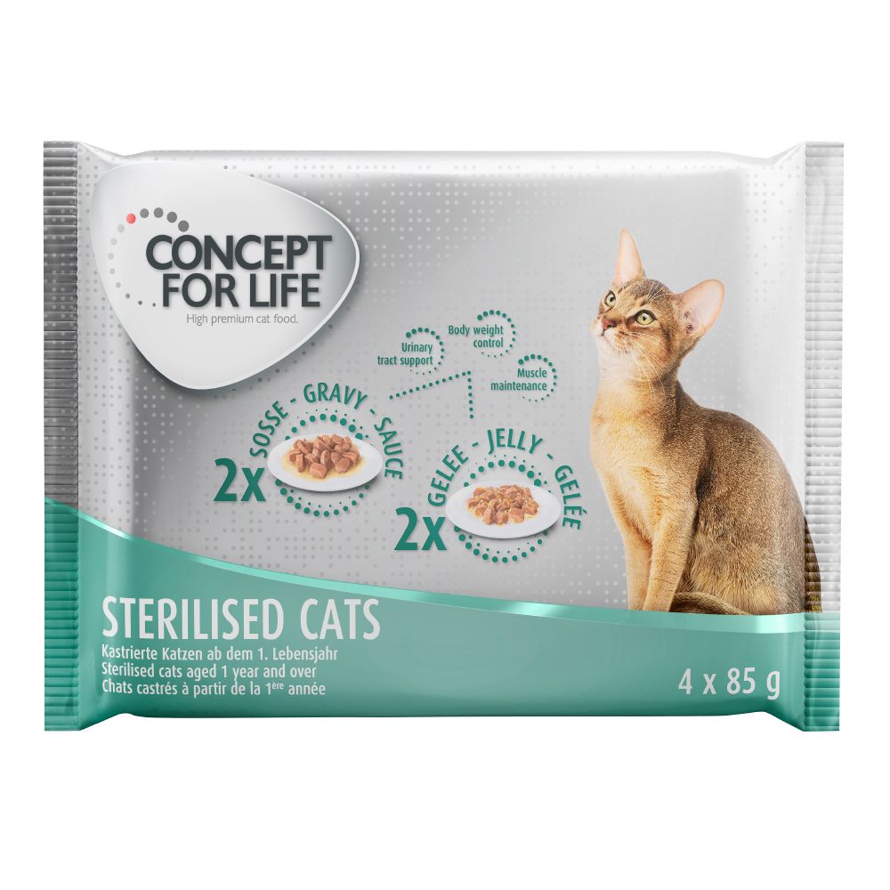 4x85g Concept For Life Hrana Za Macke Kitten Ceneje Si