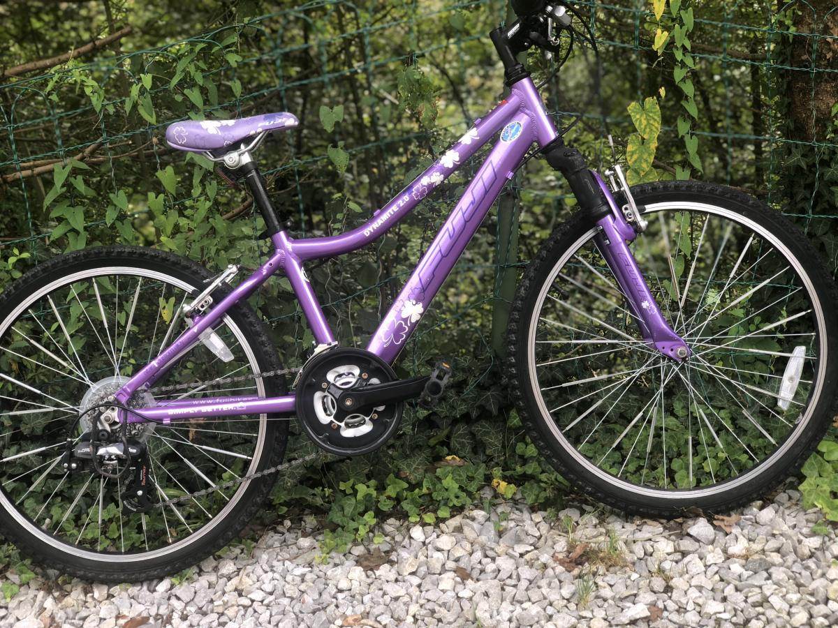 fuji dynamite 2.0 24