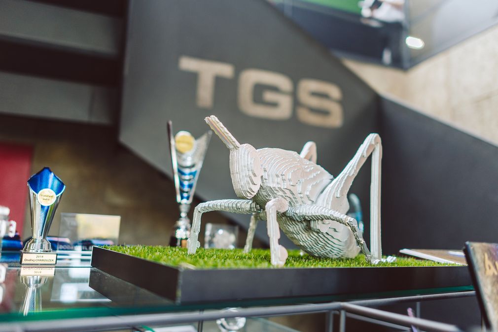 TGS