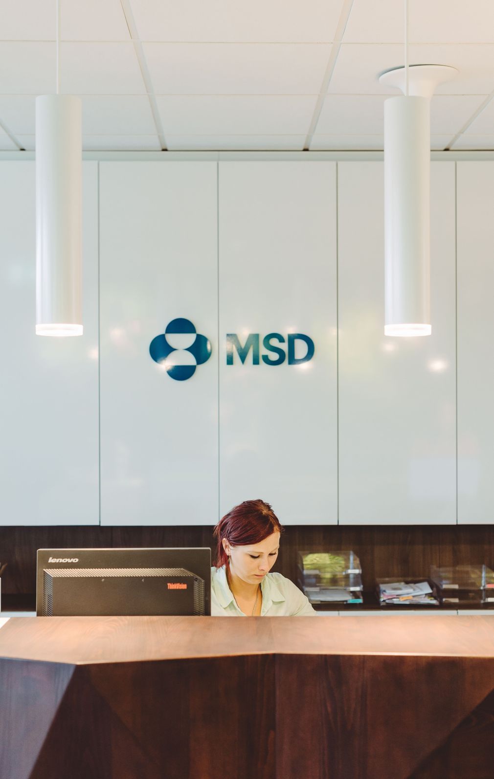 MSD IT